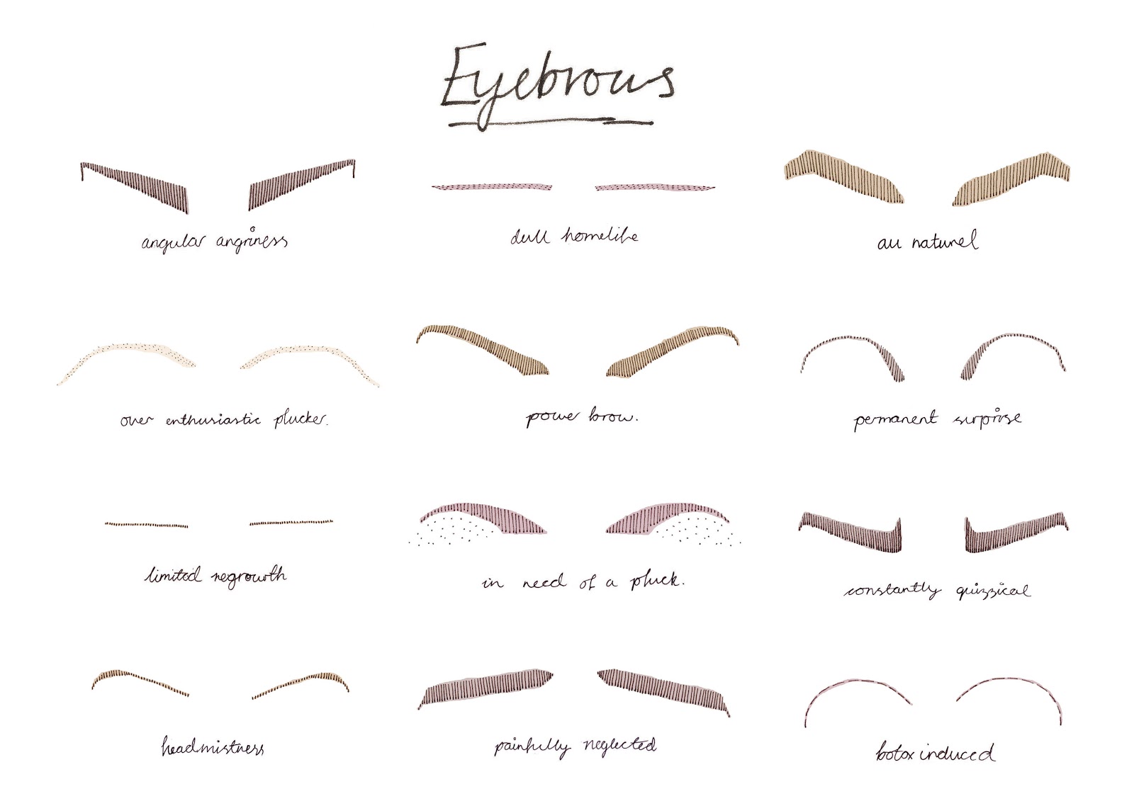 Eyebrow Chart